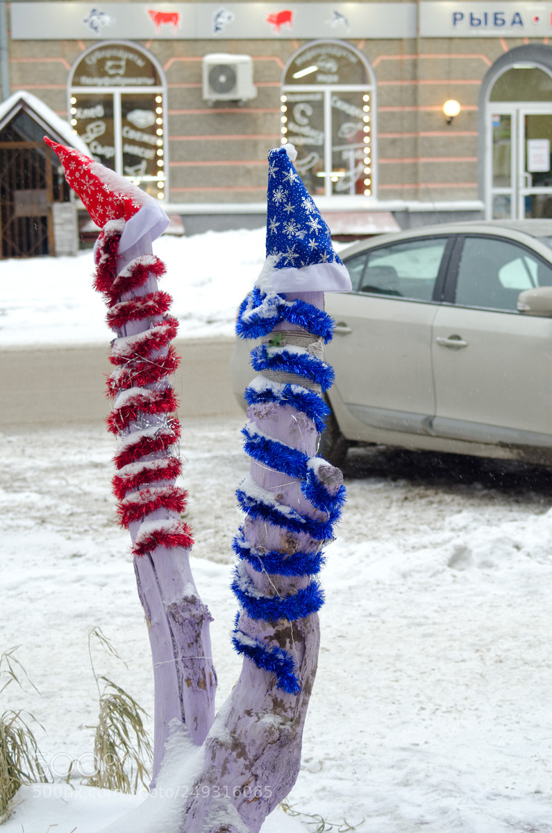 Nikon D7000 sample photo. Новогоднее украшение photography