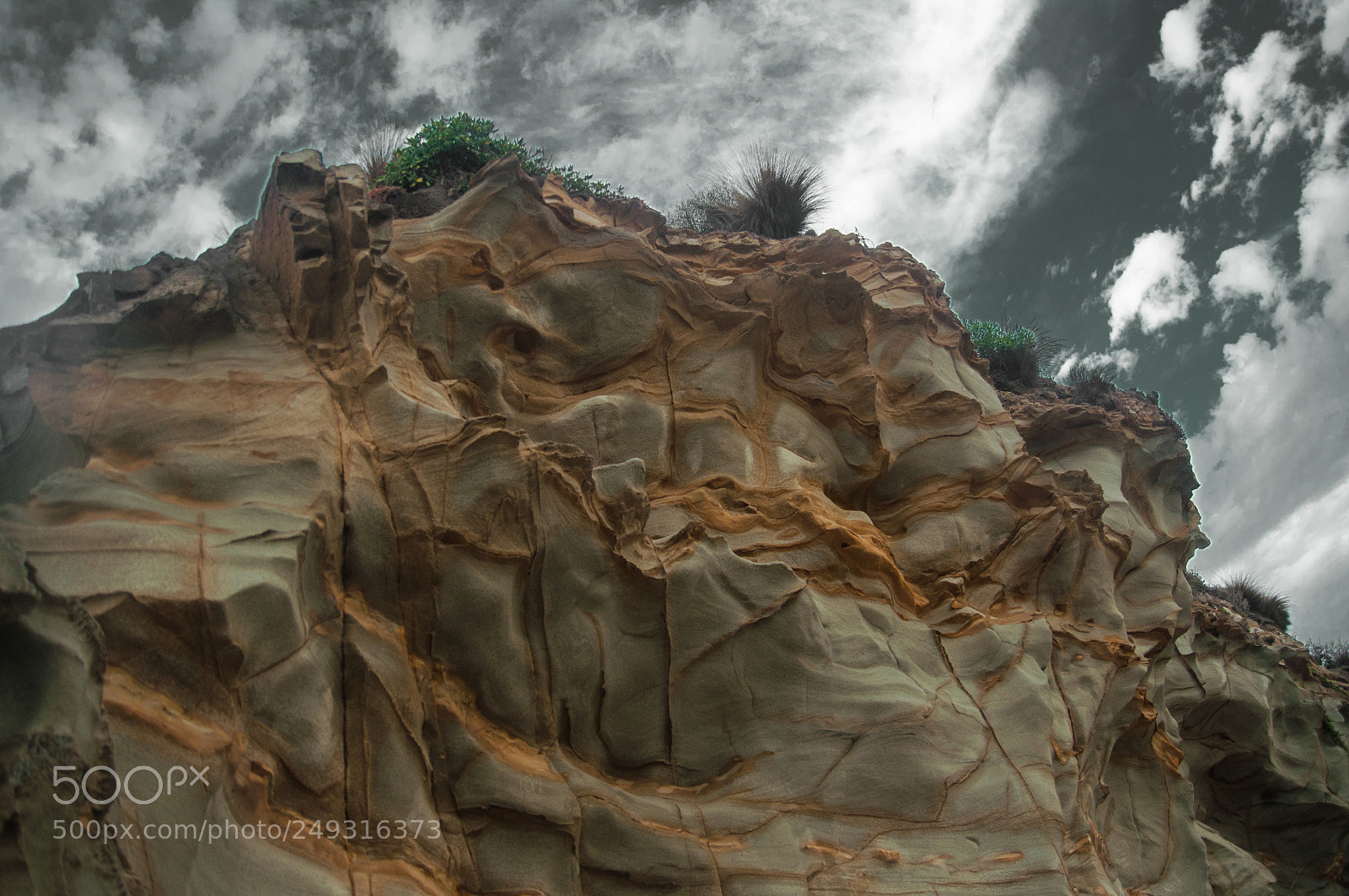 Nikon D90 sample photo. Cape paterson photography