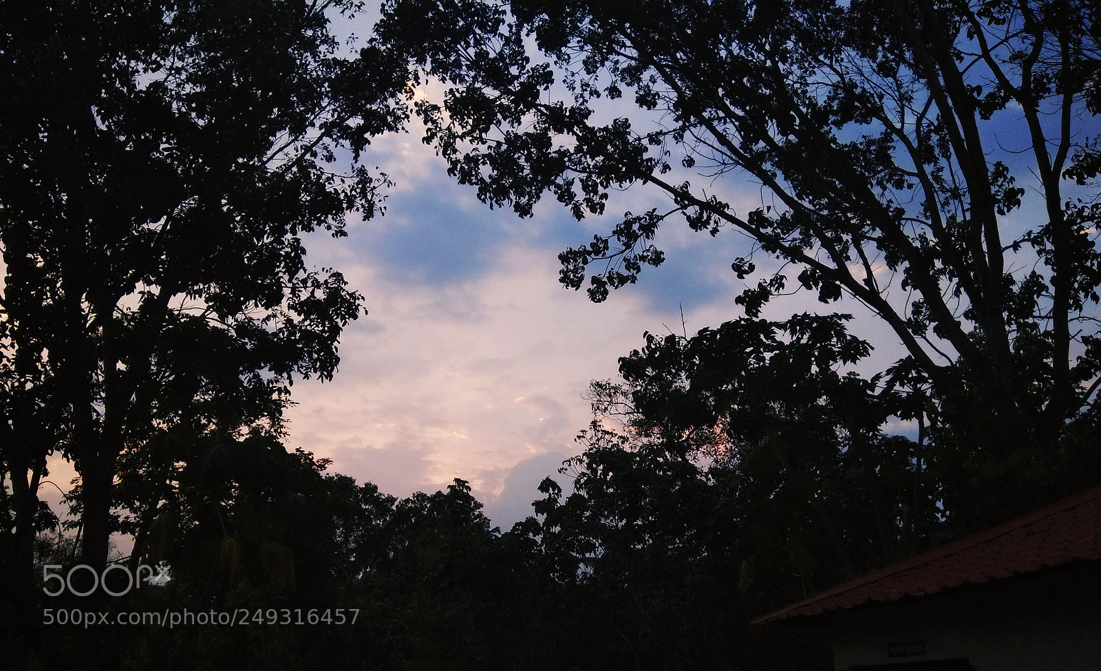 Xiaomi Redmi Note 4 sample photo. Untitled photography