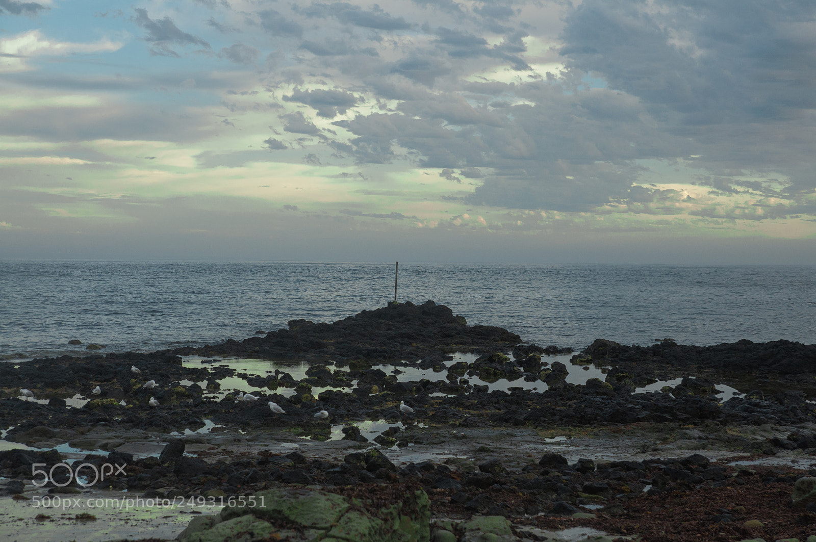 Nikon D90 sample photo. Cape paterson photography