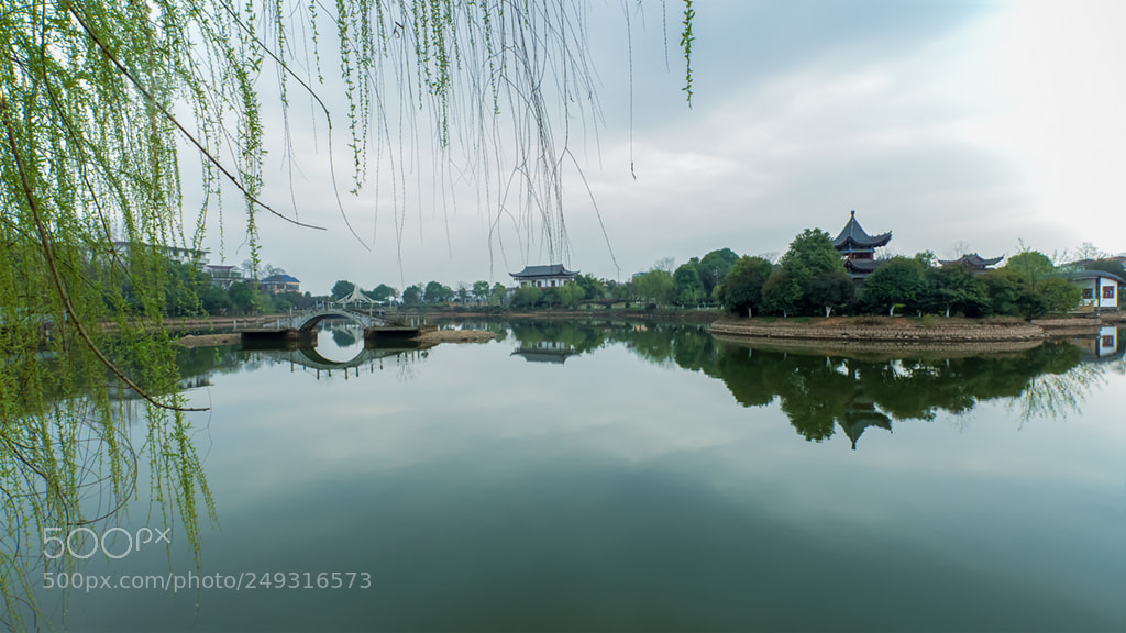 Canon EOS 5D Mark IV sample photo. Untitled photography