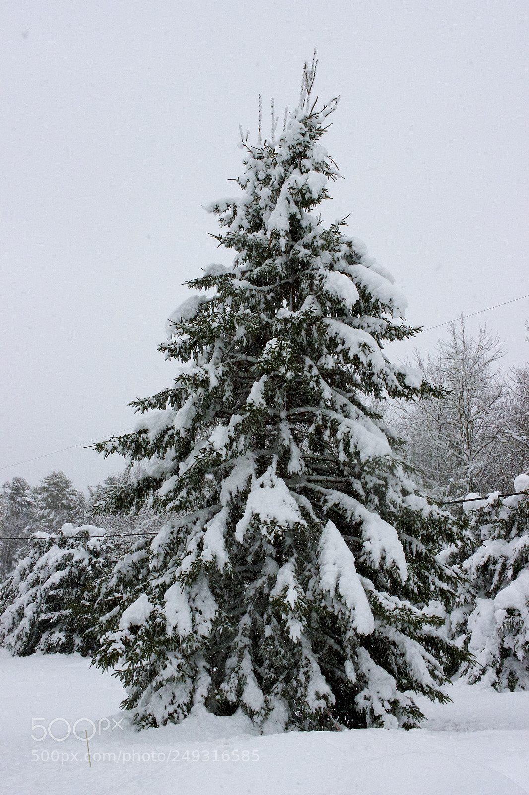 Canon EOS 600D (Rebel EOS T3i / EOS Kiss X5) sample photo. Maine snow march photography