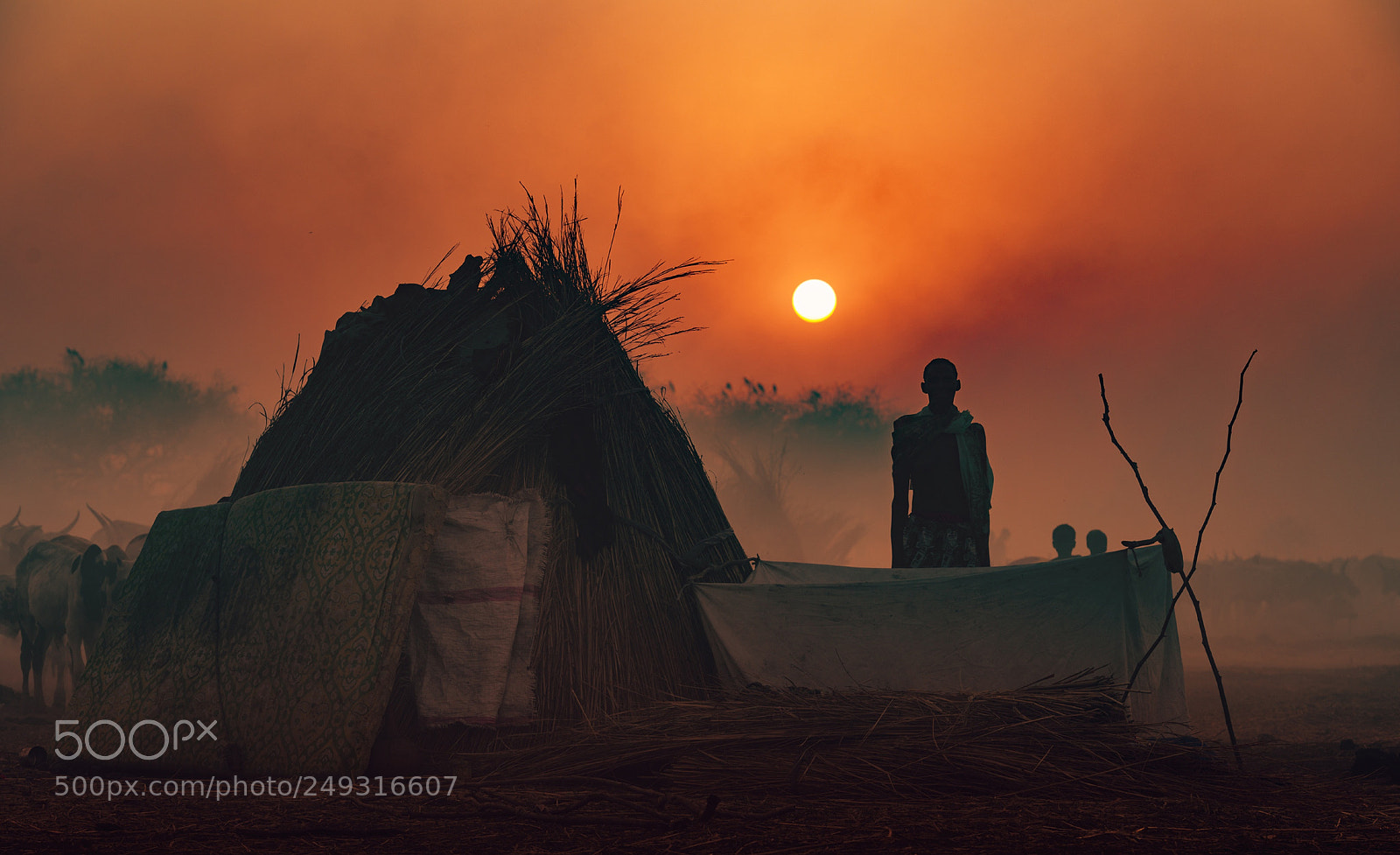 Nikon D800 sample photo. In red tones photography