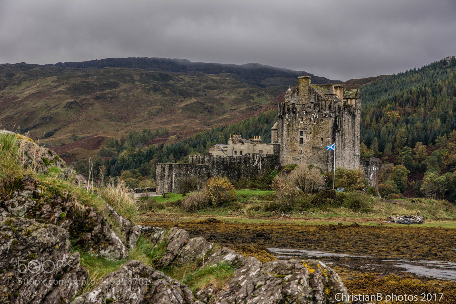 Nikon D7100 sample photo. Scottland flag photography