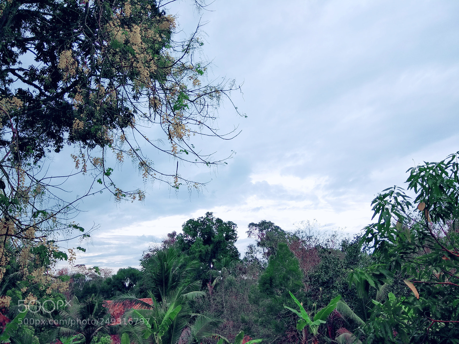Xiaomi Redmi Note 4 sample photo. Untitled photography
