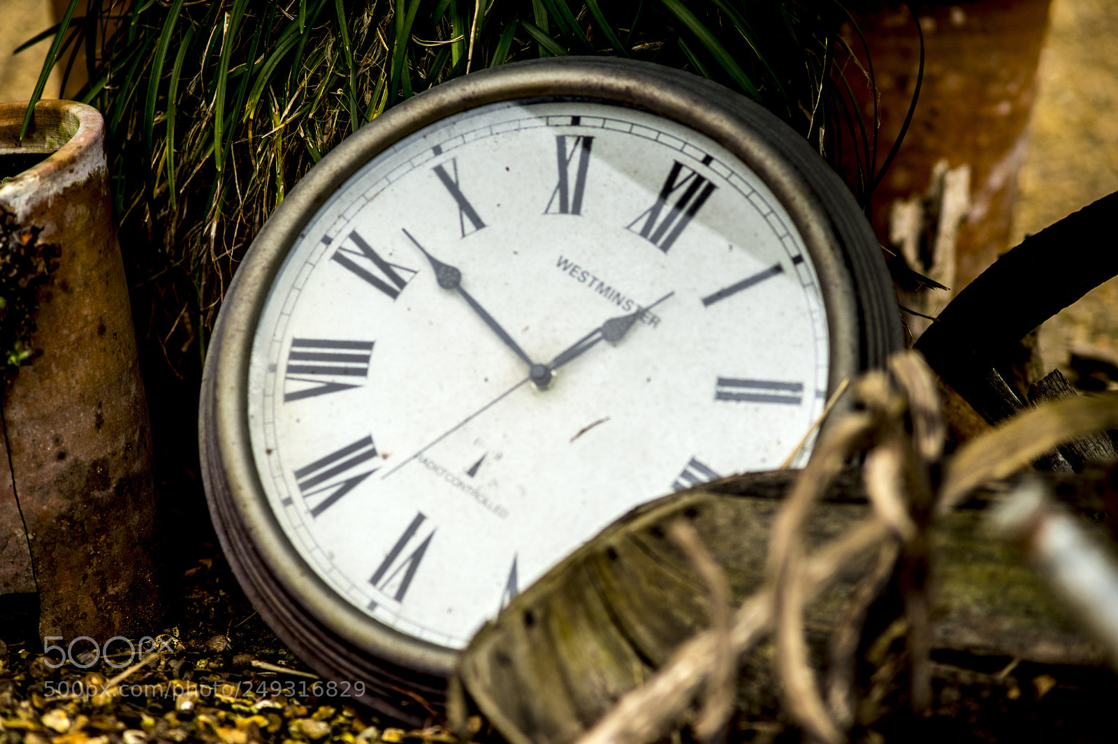 Sony SLT-A99V sample photo. Forgotten time photography