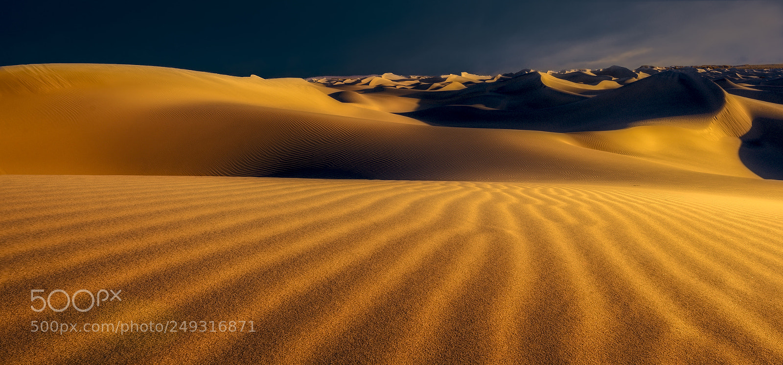 Nikon D610 sample photo. Early morning at mesquite photography