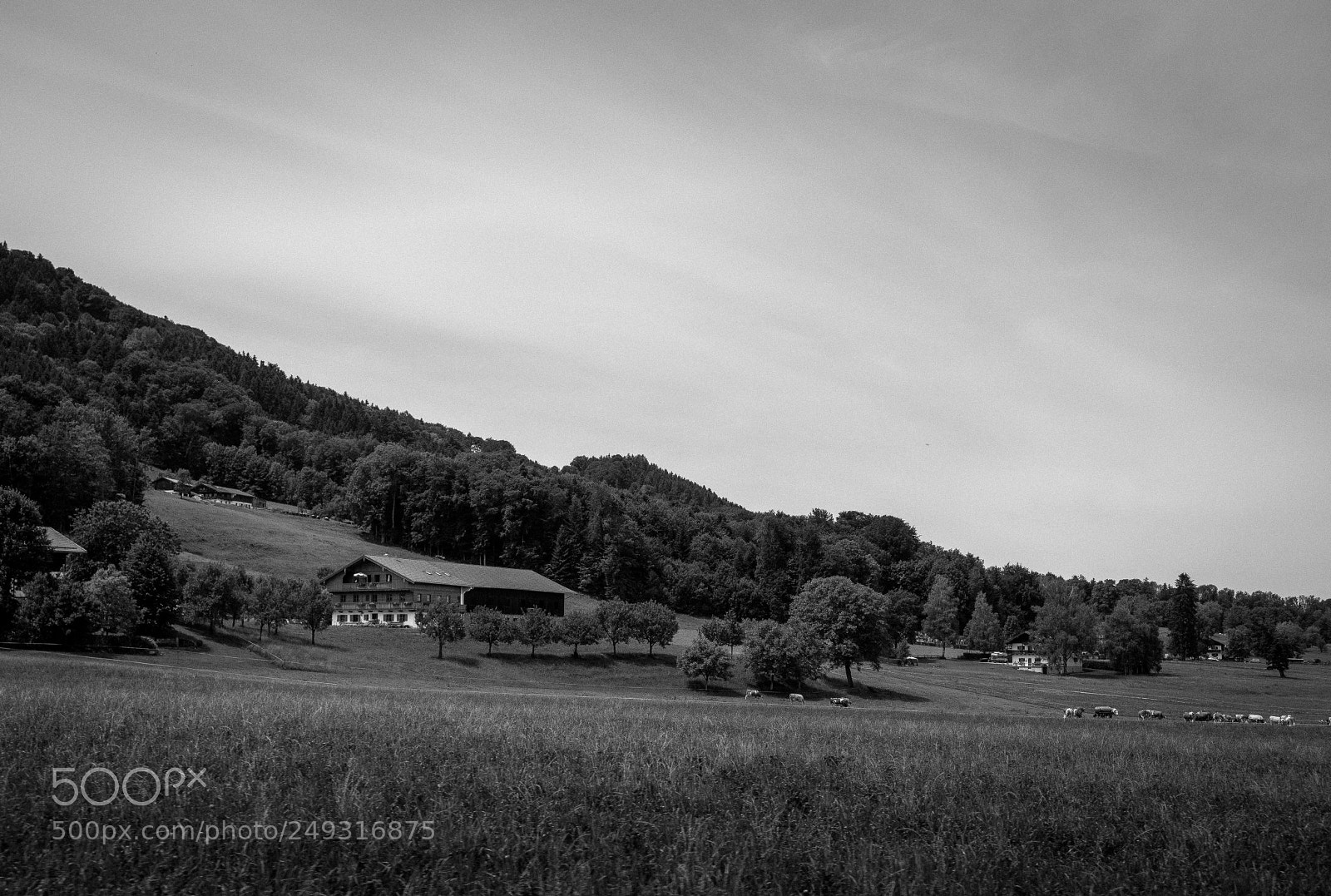 Samsung NX300 sample photo. Random bavarian landscapes photography