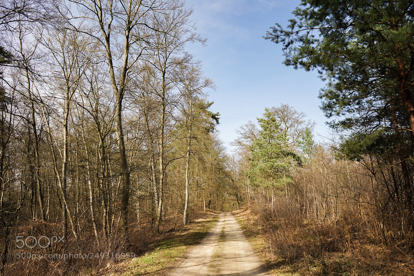 Sony a7 sample photo. Untitled photography