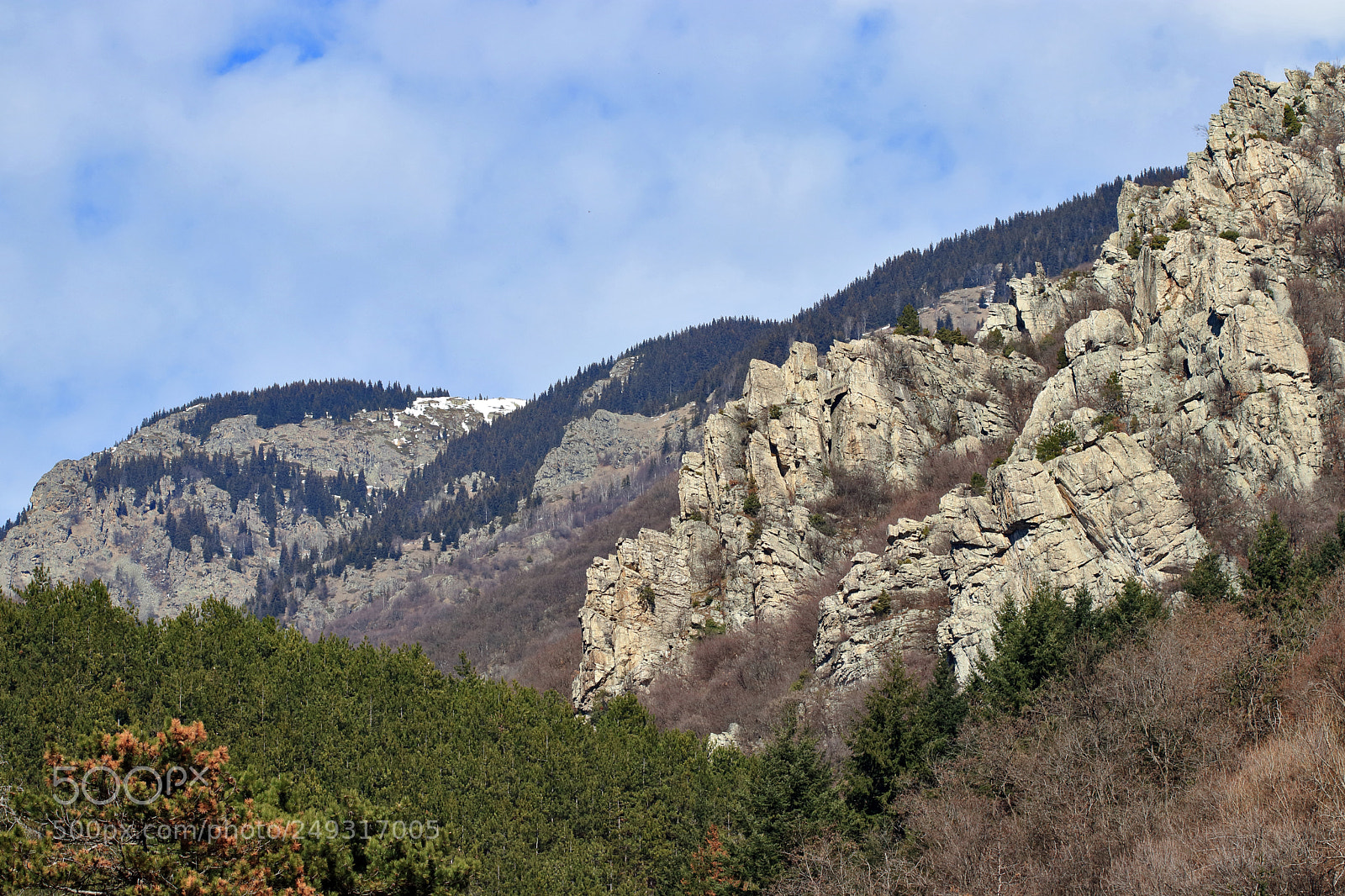 Canon EOS 80D sample photo. Img photography