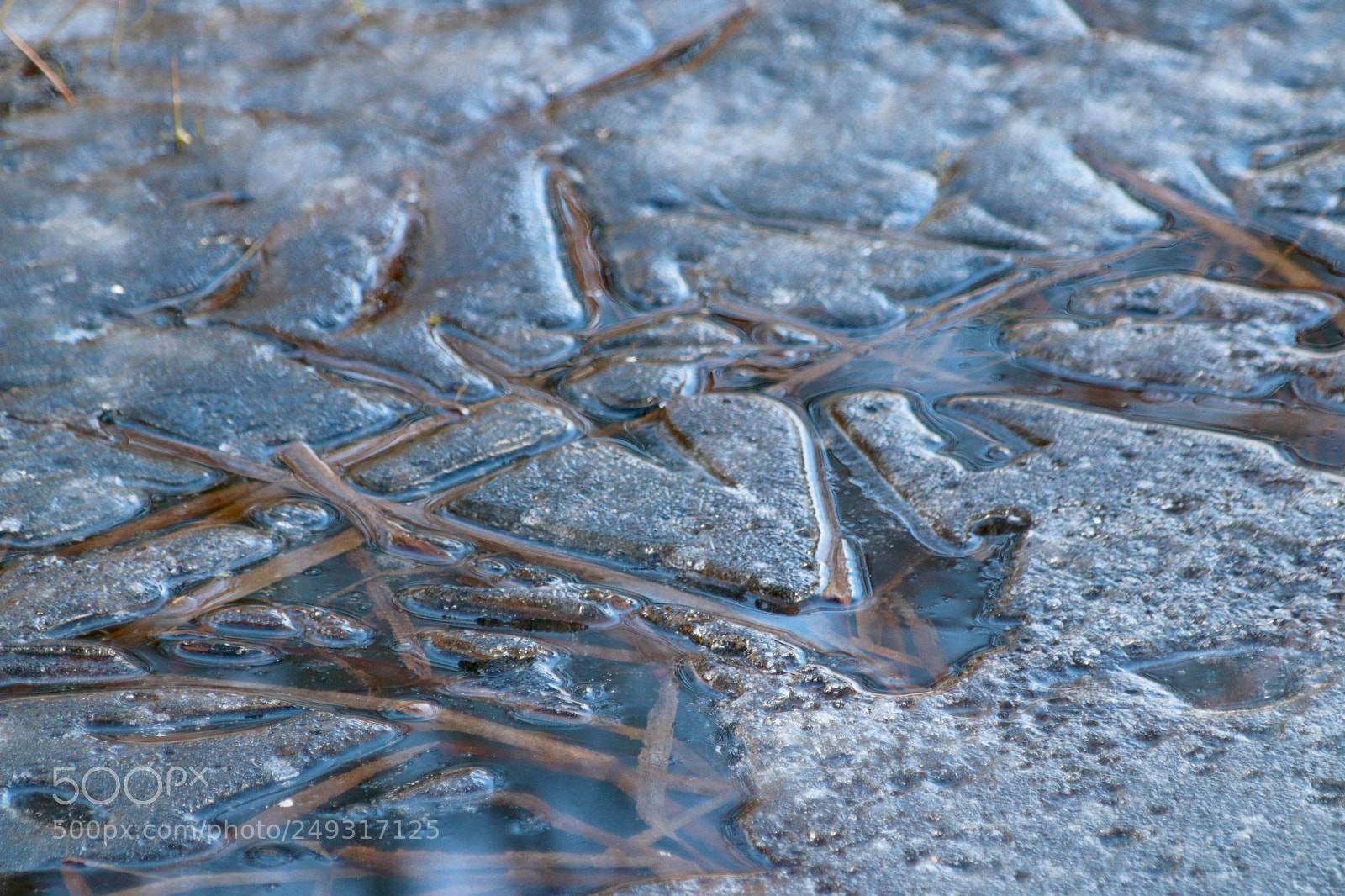 Canon EOS 77D (EOS 9000D / EOS 770D) sample photo. Melting ice on a photography