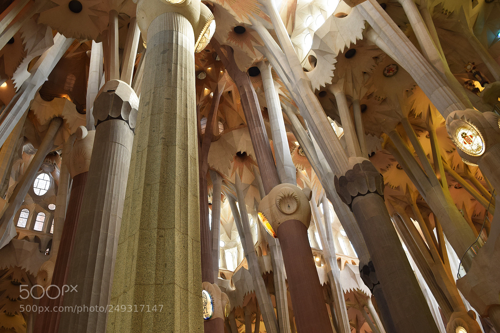 Nikon D3300 sample photo. The stone forest photography