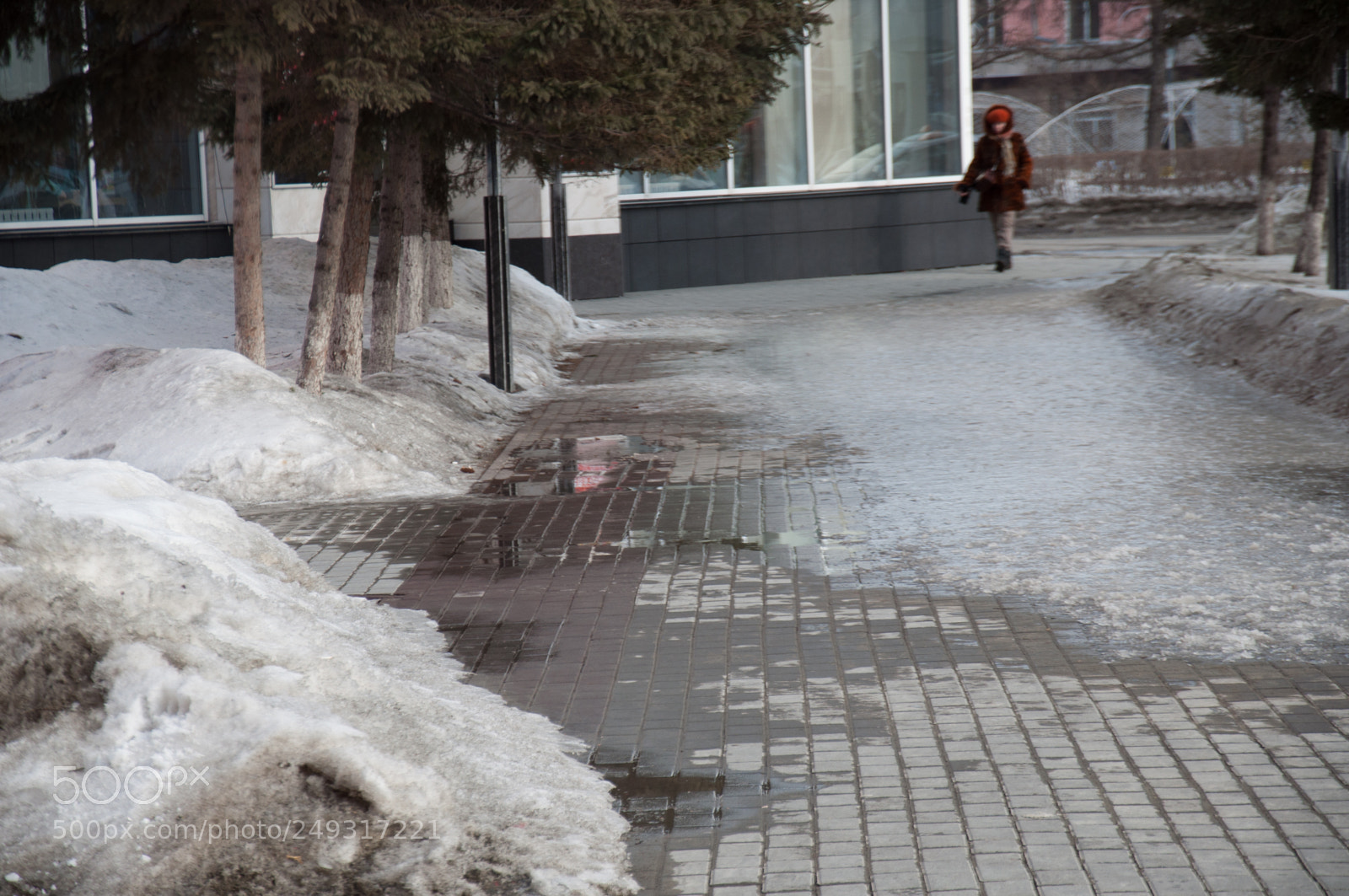 Nikon D5000 sample photo. End of winter photography