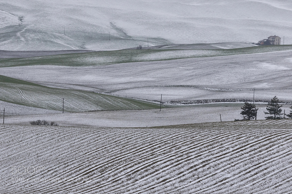 Canon EOS 7D Mark II sample photo. Paesaggi toscani 2 photography