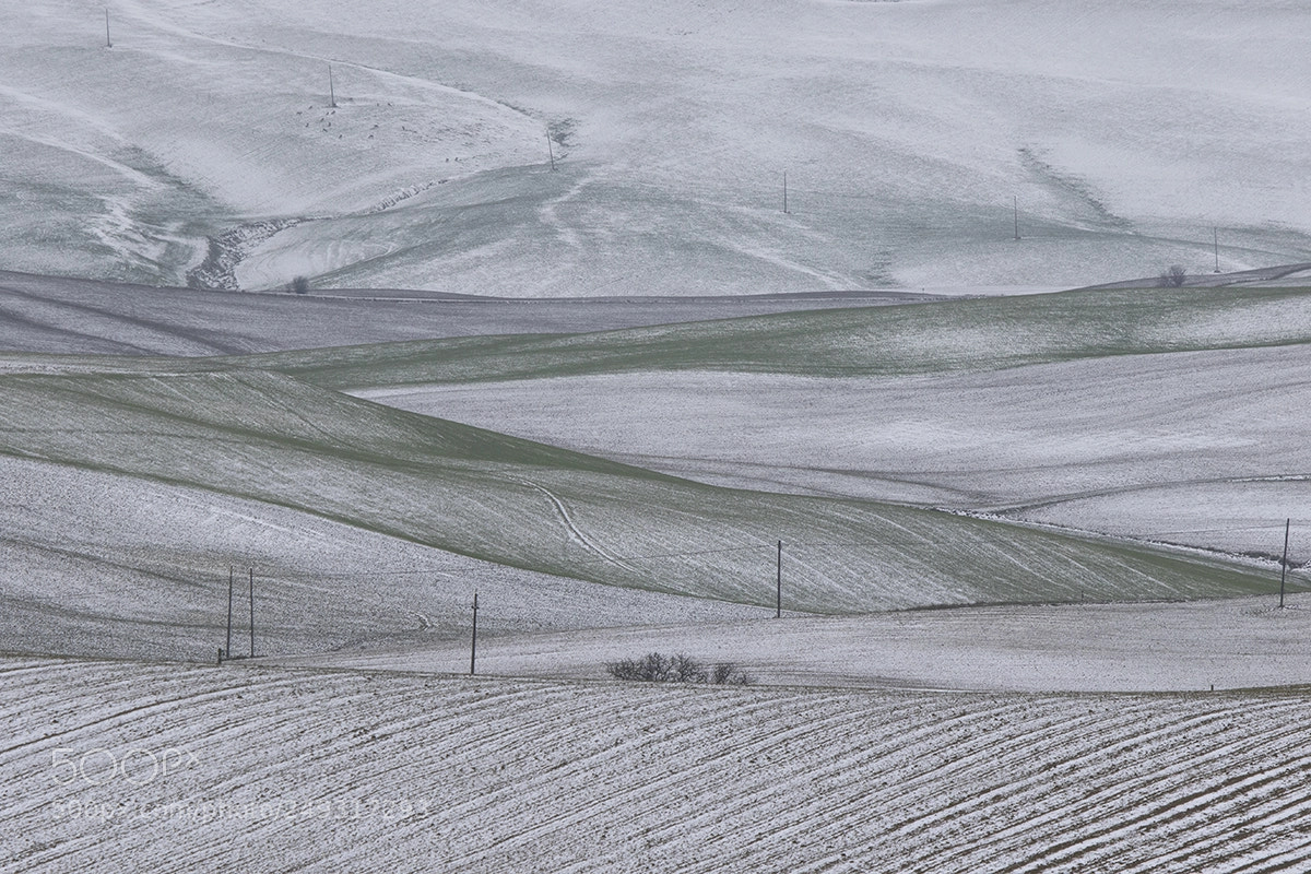 Canon EOS 7D Mark II sample photo. Paesaggi toscani photography