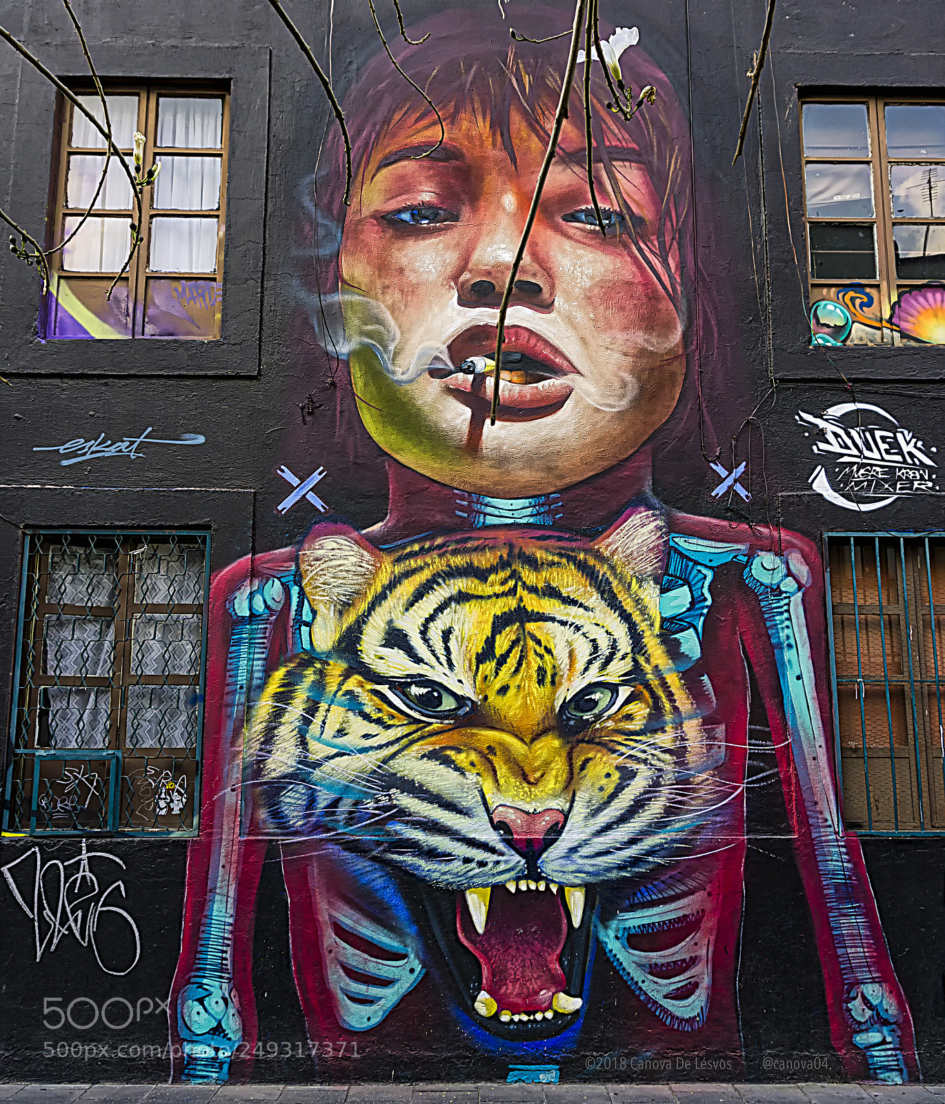 Sony a6000 sample photo. Street art, 02 photography