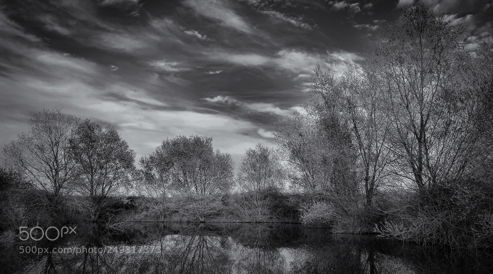 Nikon D3200 sample photo. Reflections in the lake photography