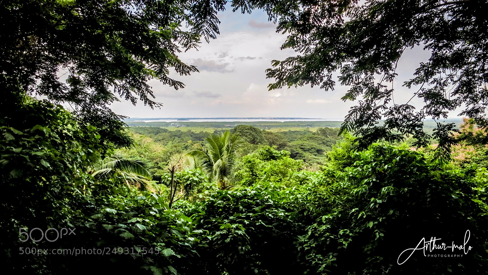Canon PowerShot S100 sample photo. Jungle window photography