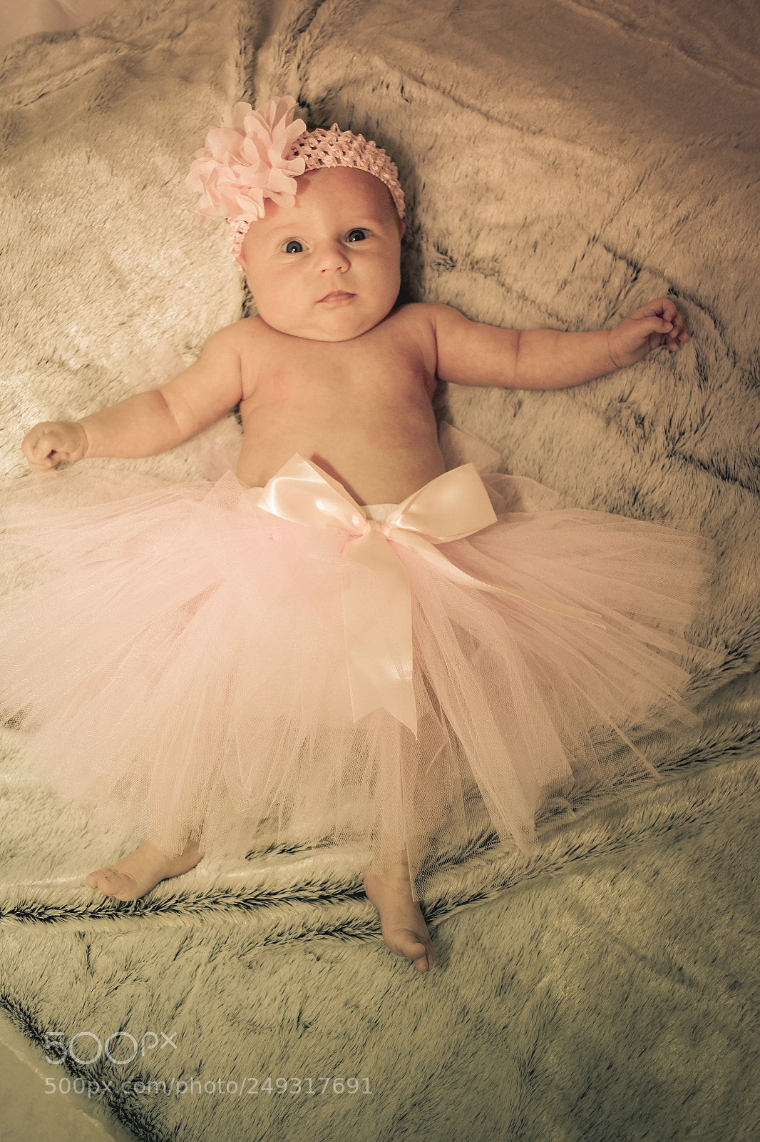 Nikon D3100 sample photo. Loona photography