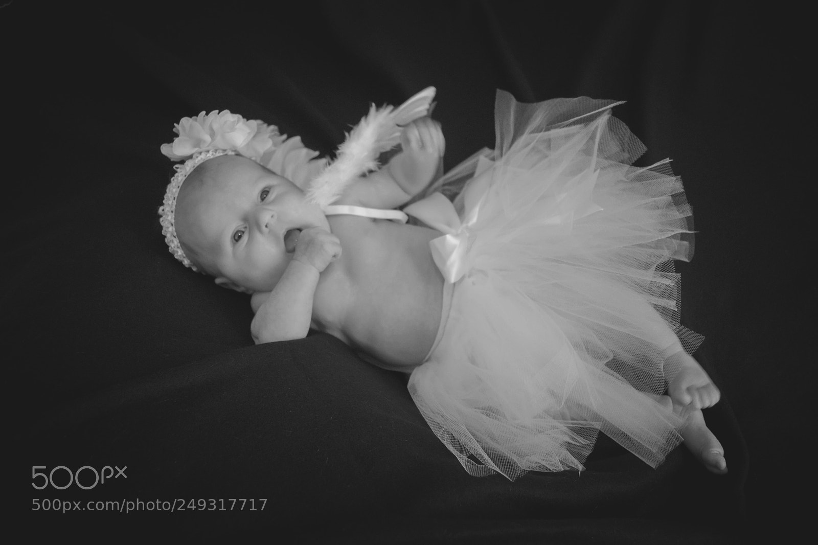 Nikon D3100 sample photo. Loona photography