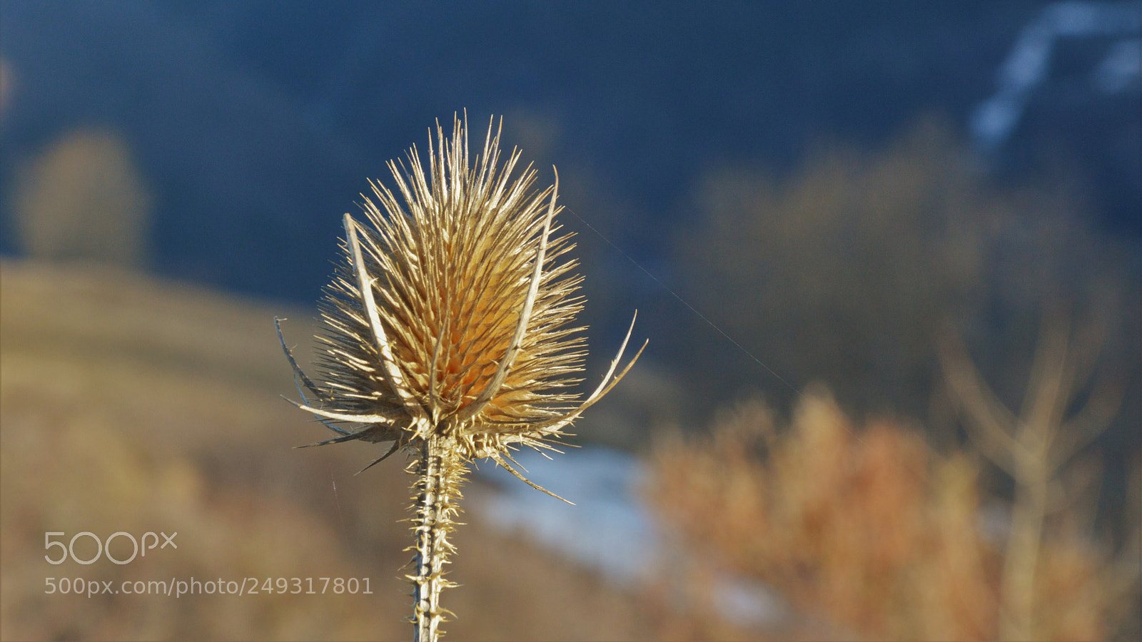 Nikon D3200 sample photo. Untitled photography