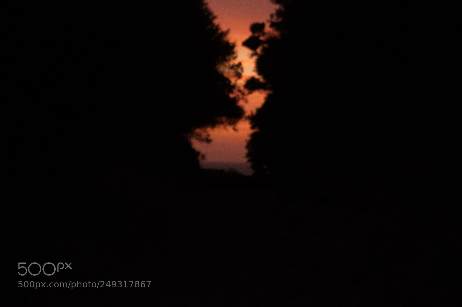 Nikon D90 sample photo. Cape paterson photography