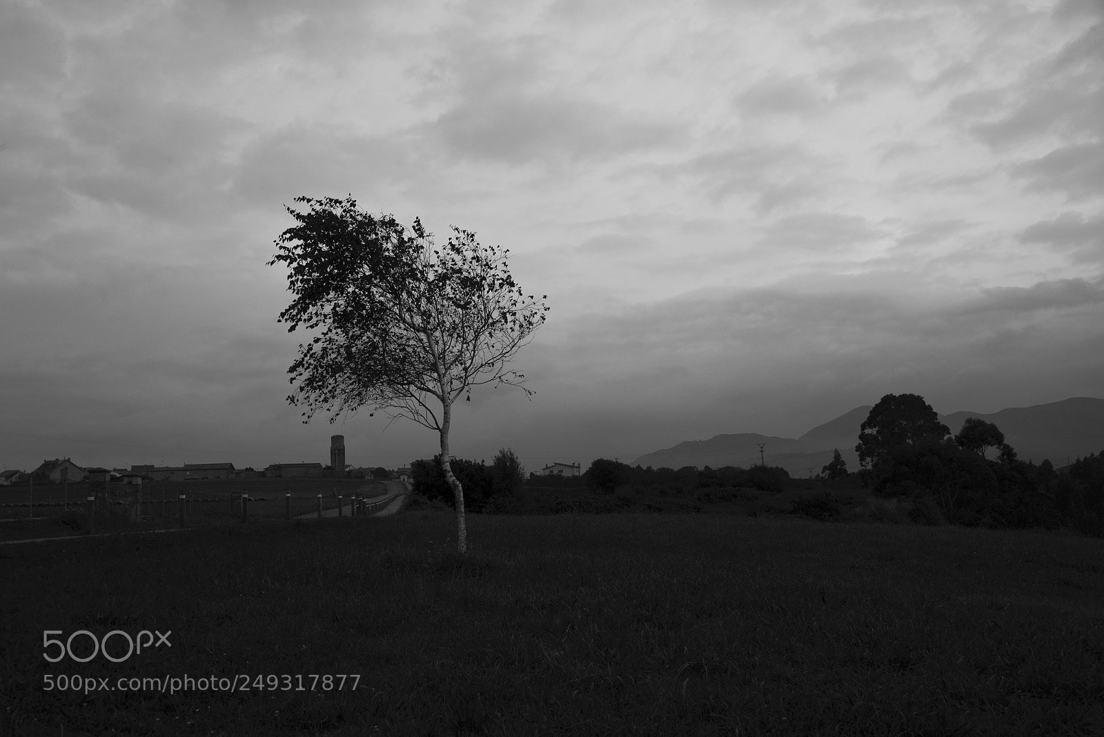Nikon D610 sample photo. Asturias 44 photography