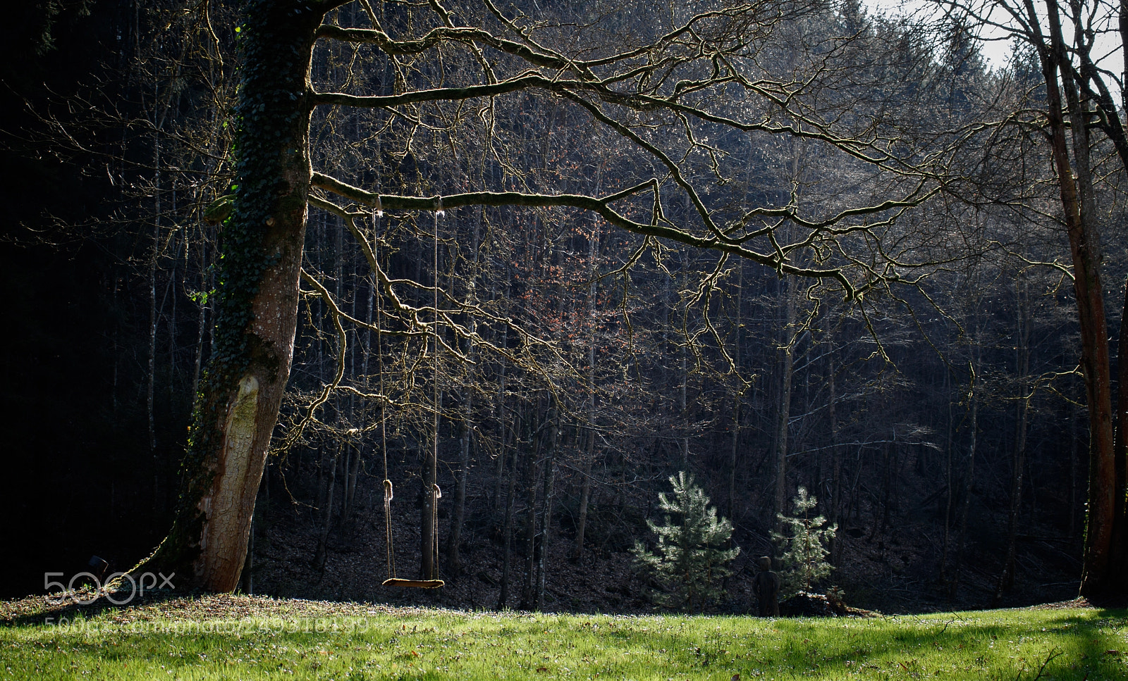 Canon EOS 750D (EOS Rebel T6i / EOS Kiss X8i) sample photo. Special place photography