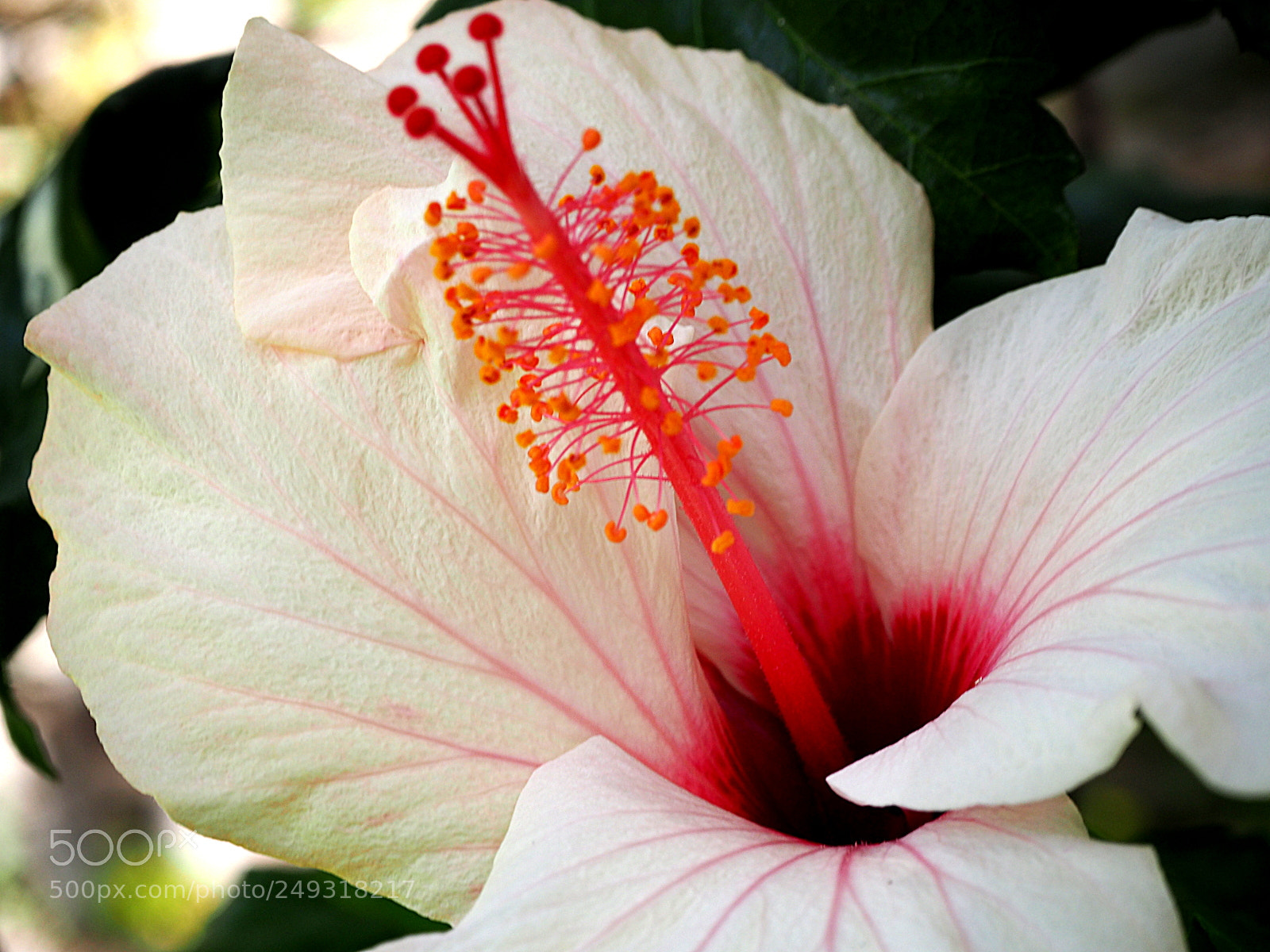 Olympus OM-D E-M10 II sample photo. A photography