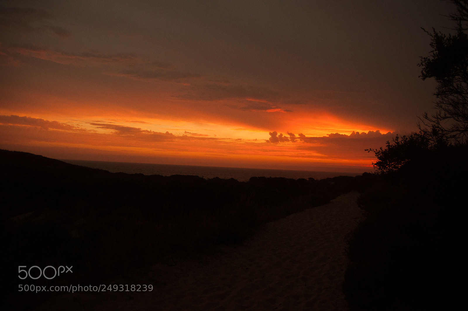 Nikon D90 sample photo. Cape paterson photography