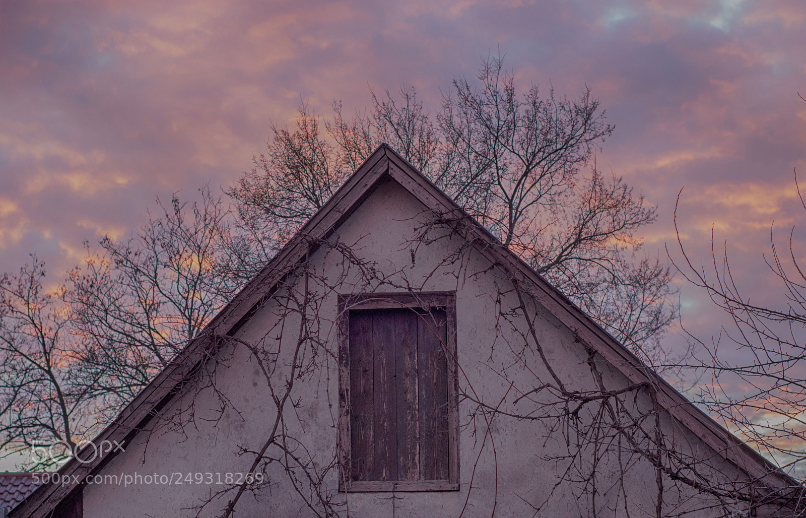 Nikon D3200 sample photo. Trees on the house photography