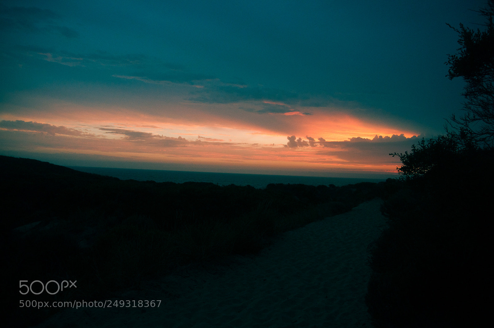Nikon D90 sample photo. Cape paterson photography