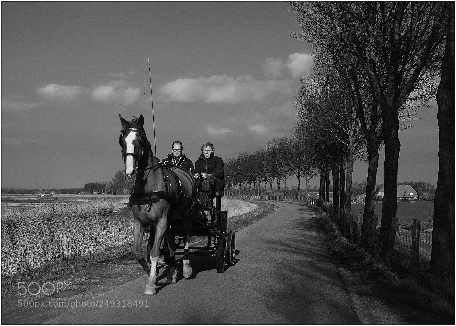 Fujifilm X-T2 sample photo. Horse ride photography