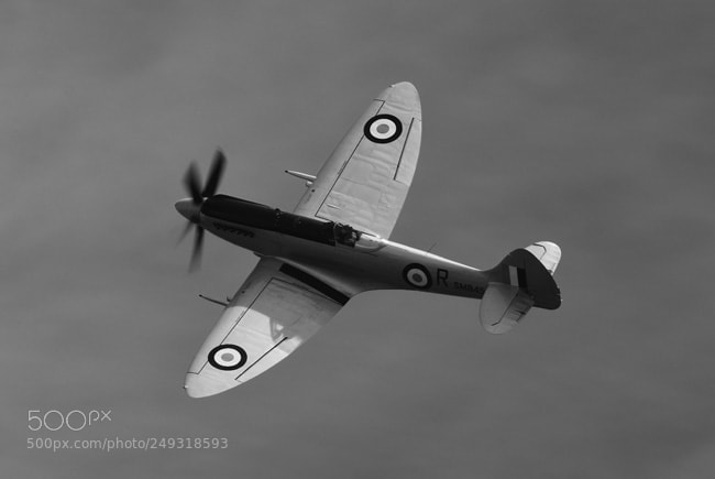 Nikon D7200 sample photo. Spitfire photography