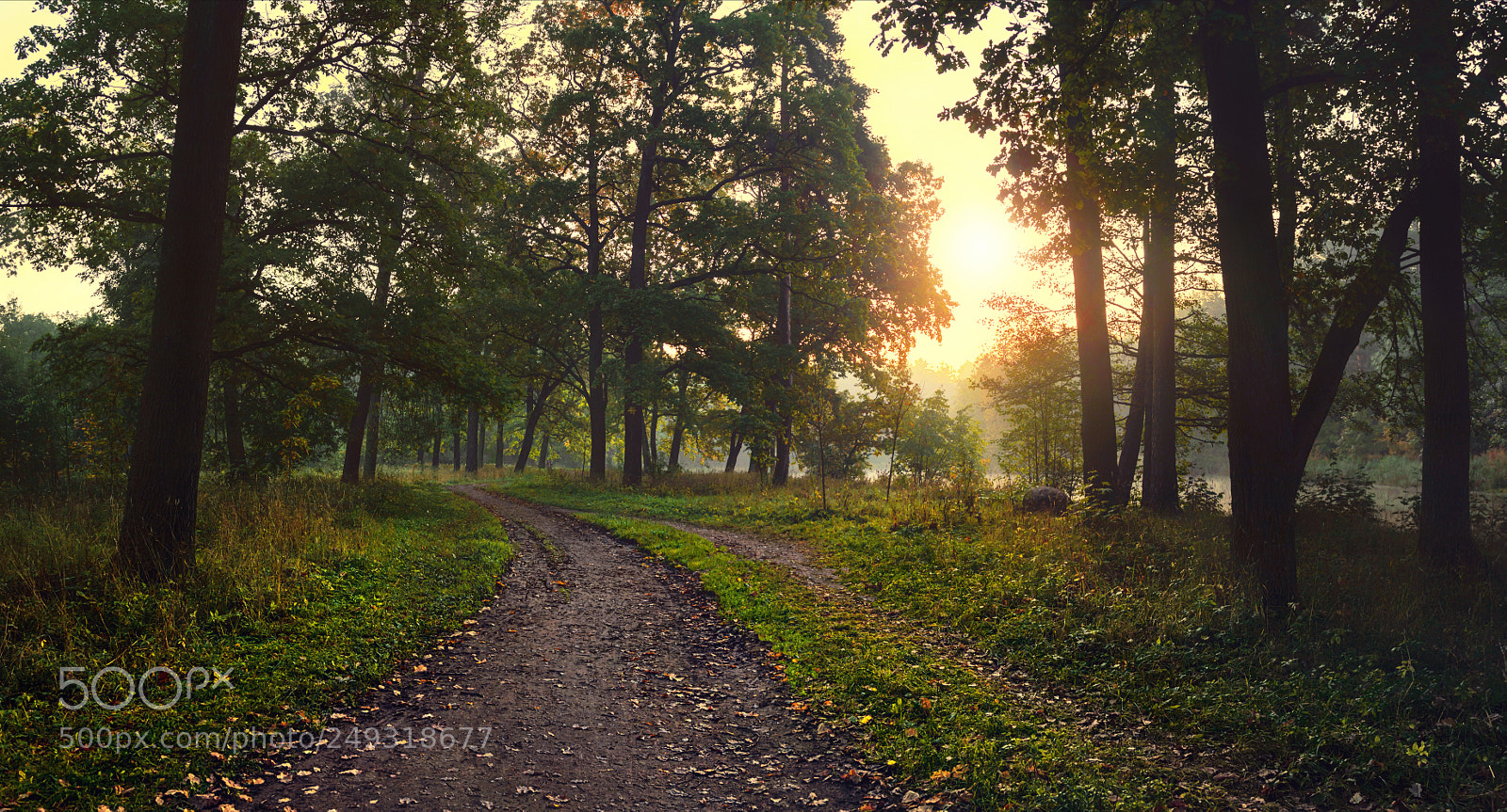 Canon EOS 50D sample photo. Nature, sunset, dawn, landscape photography