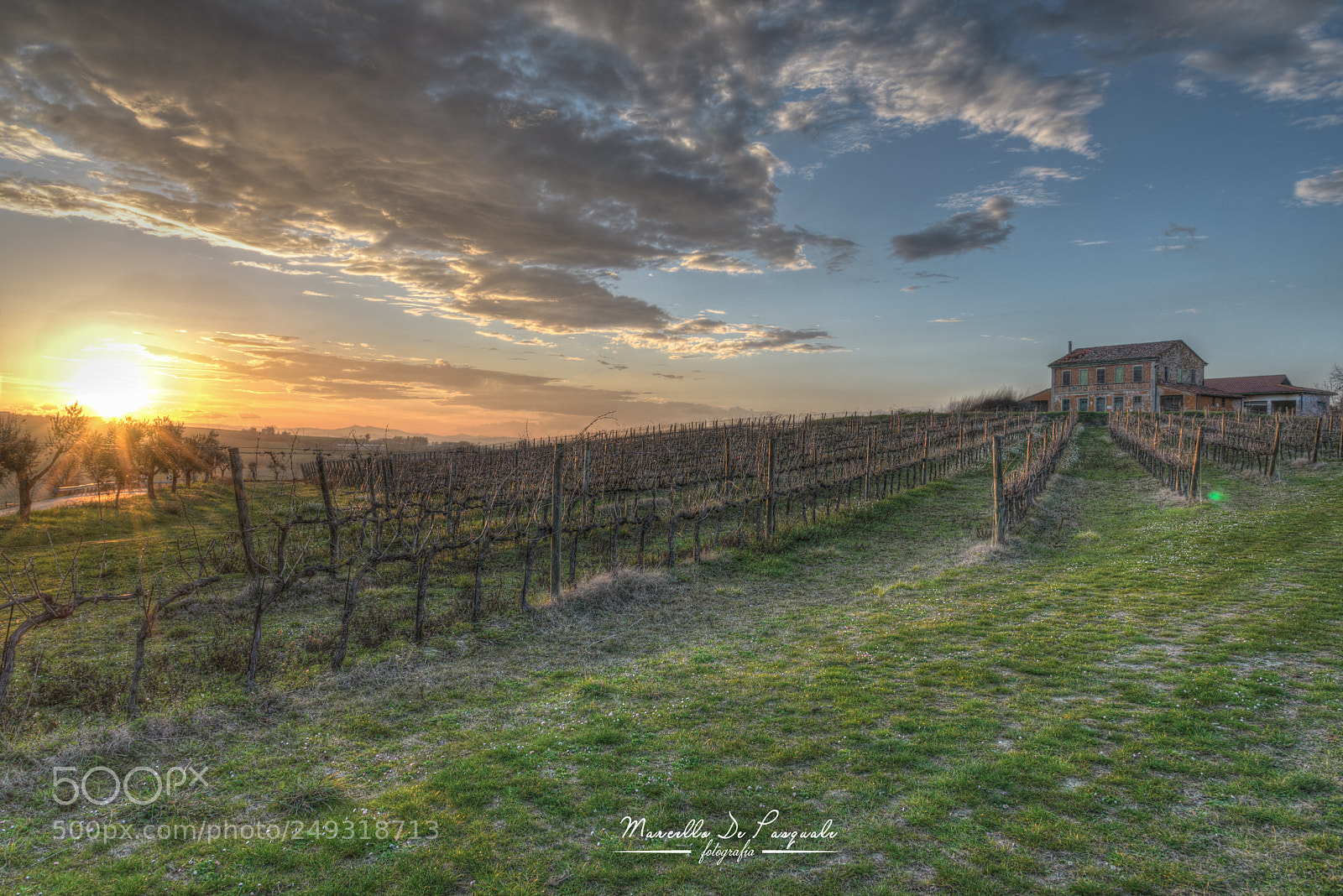 Nikon D610 sample photo. Let the sunsets in photography