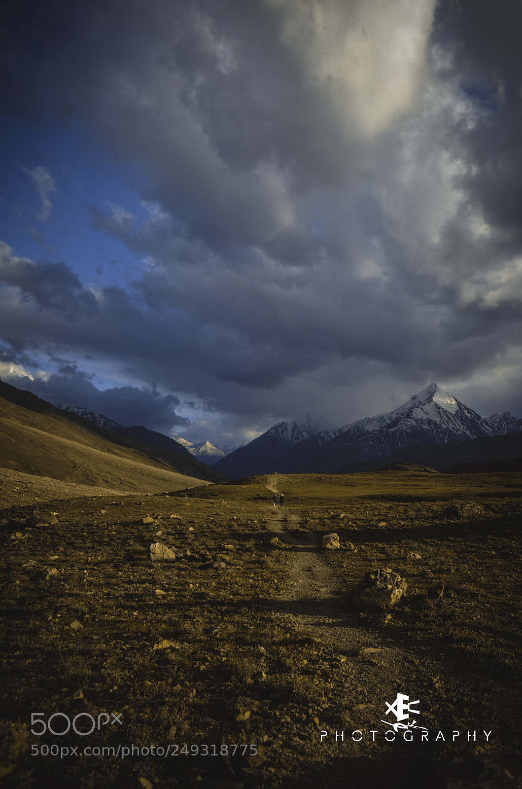 Nikon D5100 sample photo. Shadow land photography