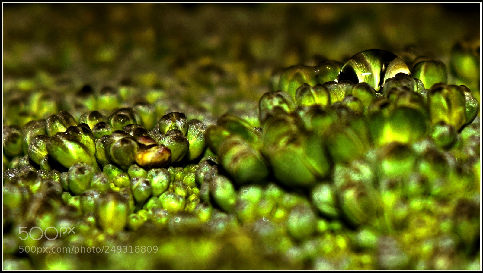 Nikon D5300 sample photo. 2... photography