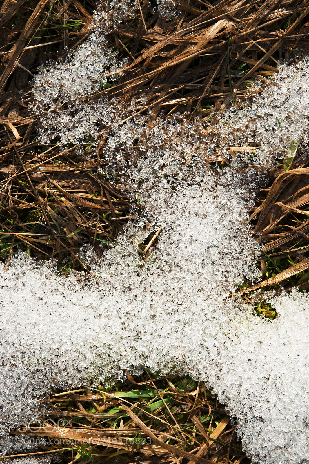 Nikon D5500 sample photo. Melted snow on dry photography