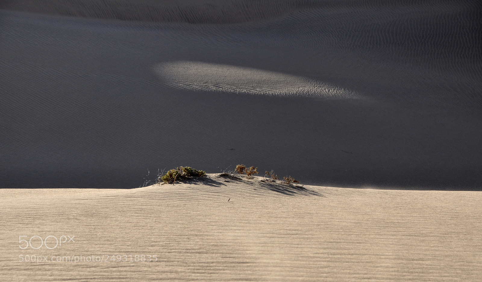 Nikon D90 sample photo. Mirror in the desert photography