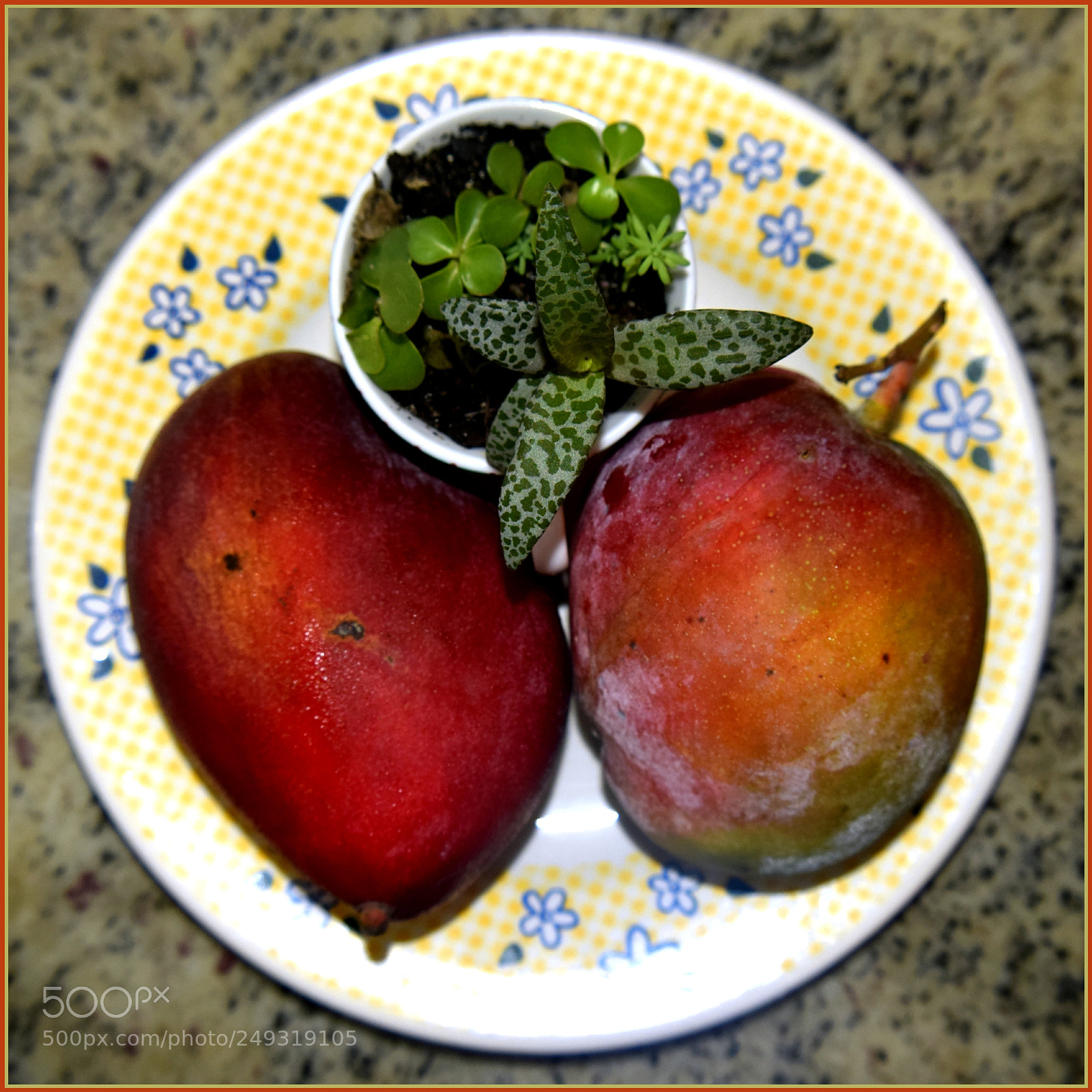 Nikon D5300 sample photo. "a sobremesa ;-)" photography