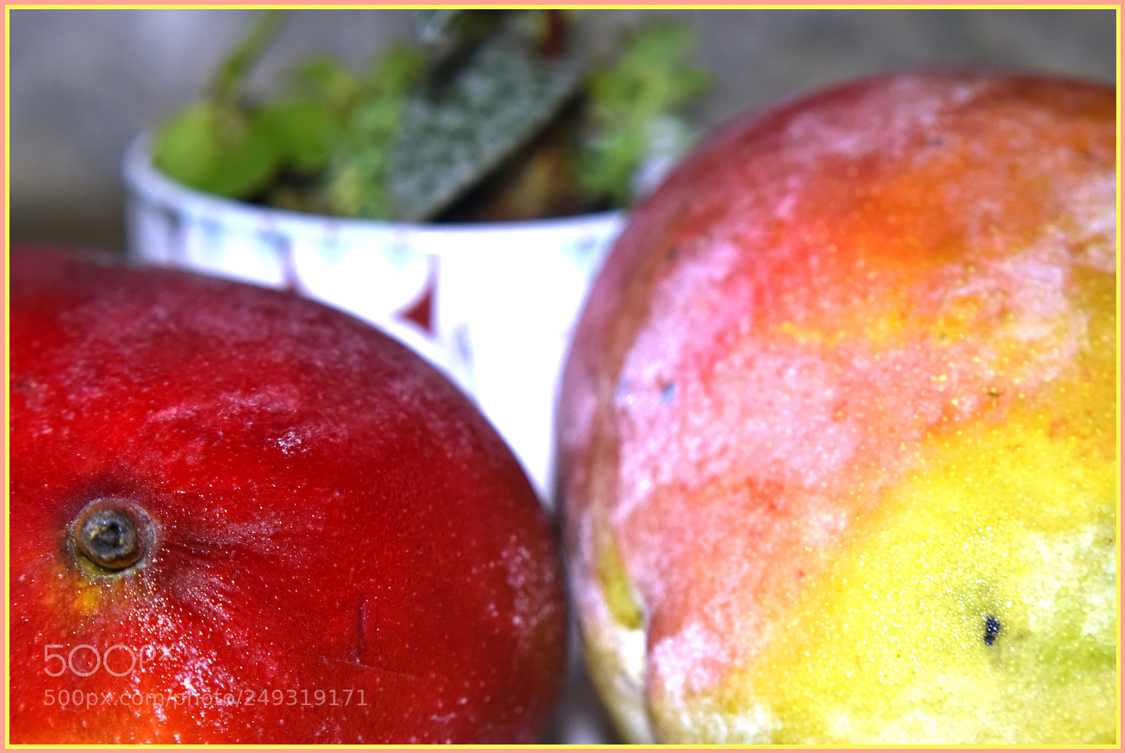 Nikon D5300 sample photo. Bis photography