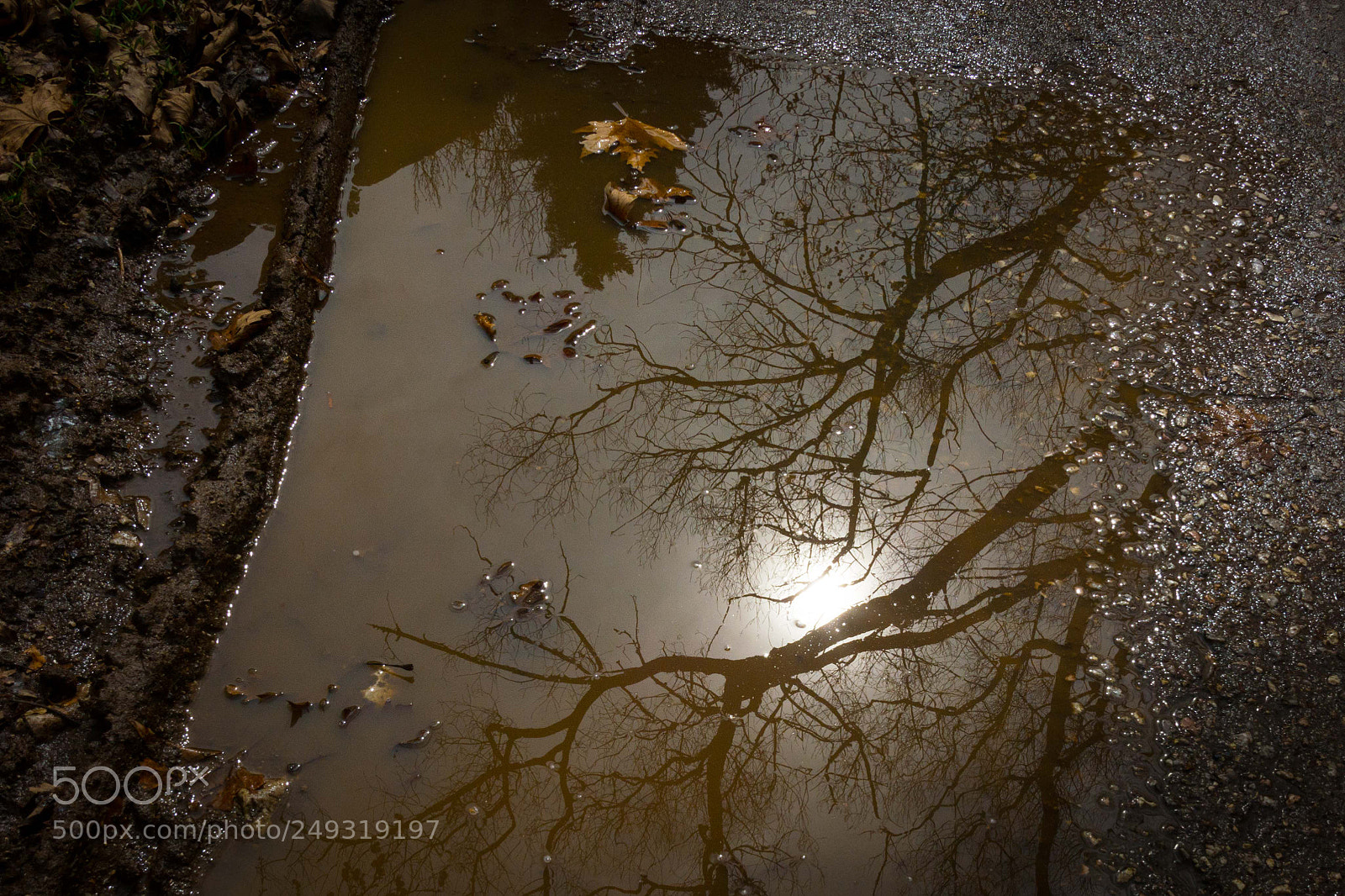 Nikon D5200 sample photo. Winter is fading away... photography