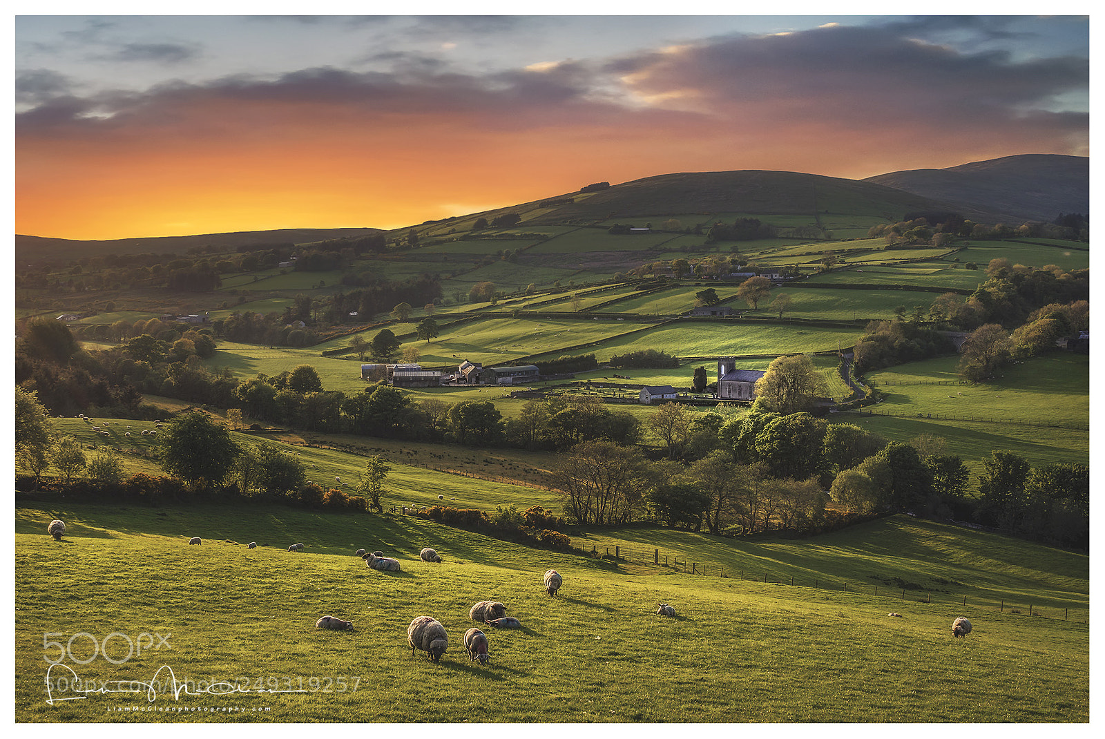 Nikon D7000 sample photo. Rural spring sunset photography