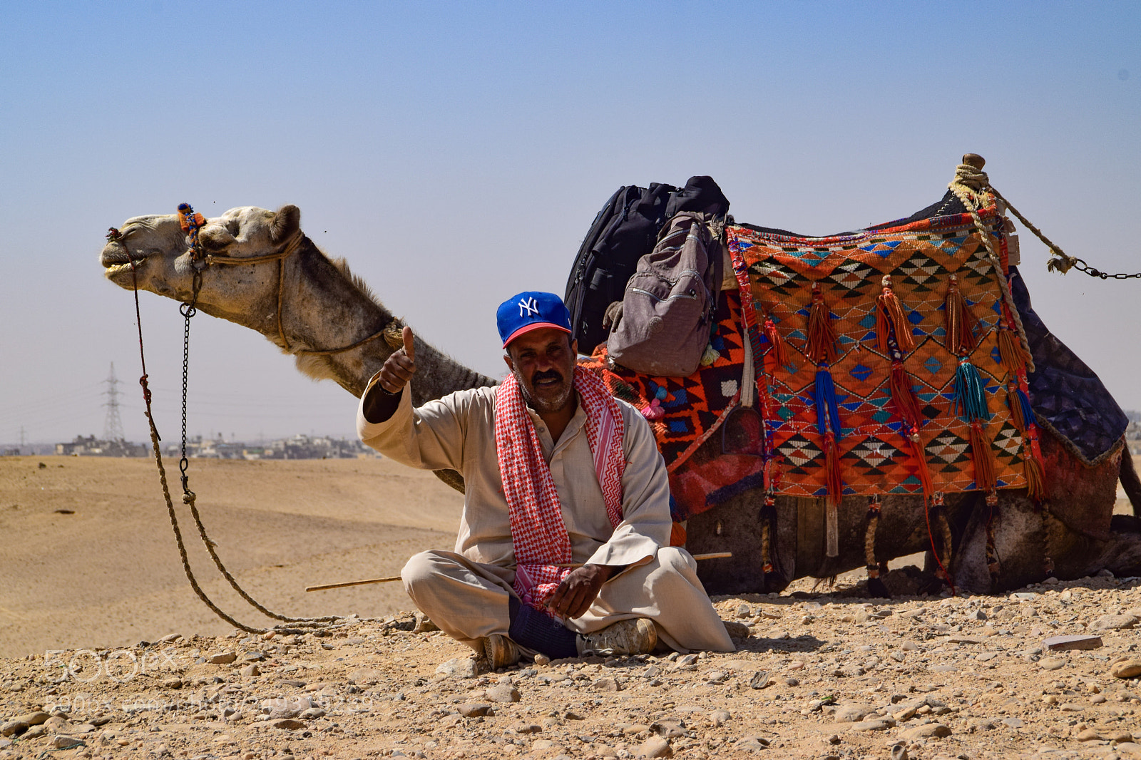 Nikon D3300 sample photo. Camel ride at the photography