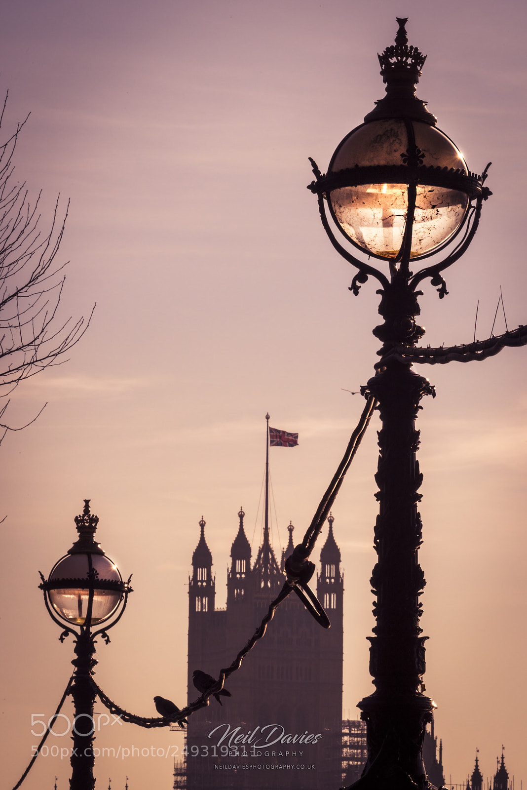 Nikon D810 sample photo. London photography
