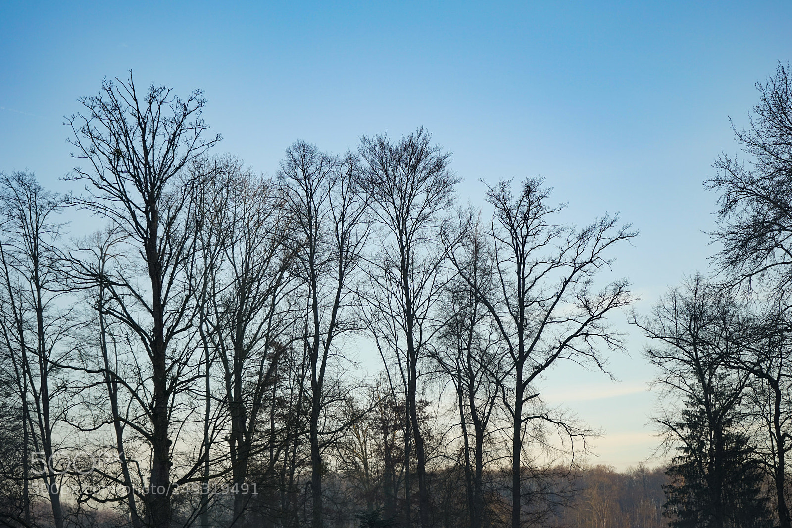 Sony a7 sample photo. Untitled photography