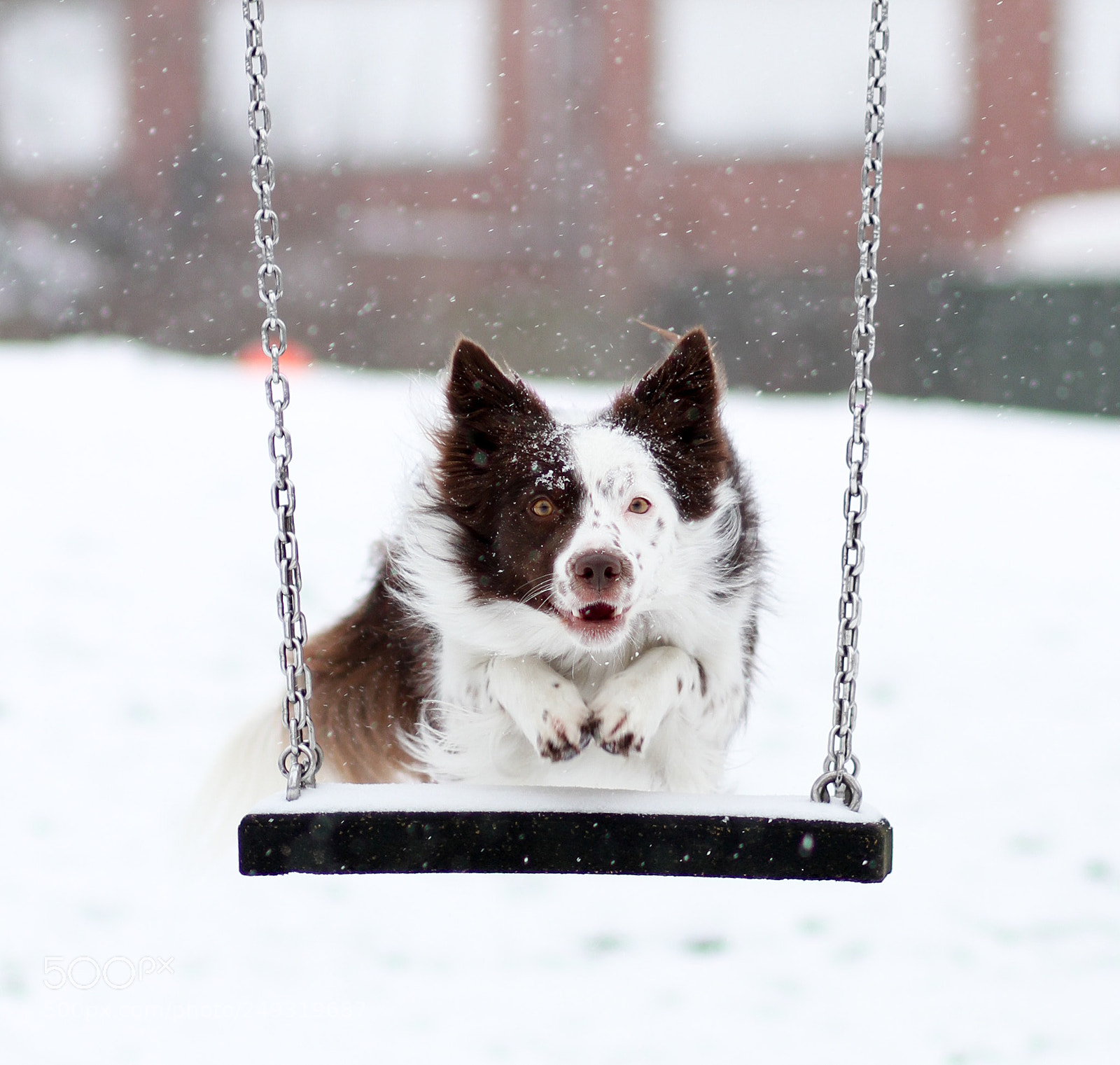 Canon EOS 7D sample photo. Jump! photography