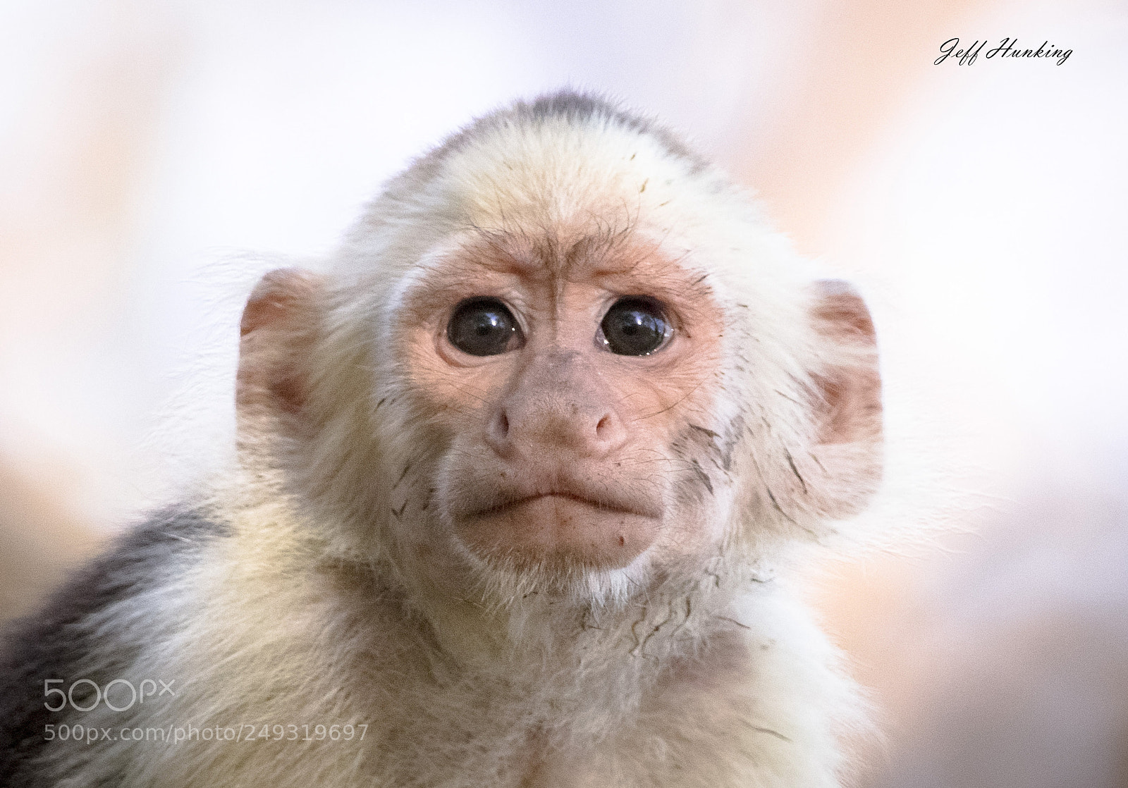 Canon EOS 7D Mark II sample photo. These eyes...... photography