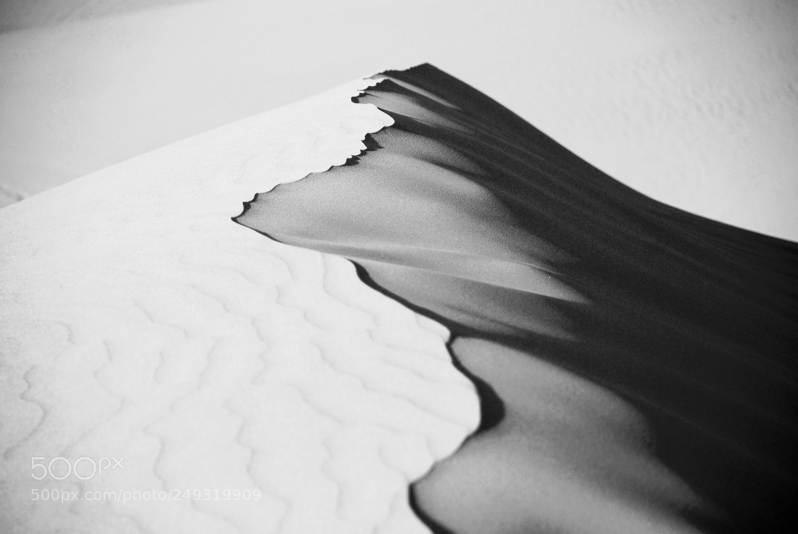 Nikon D80 sample photo. Dune photography
